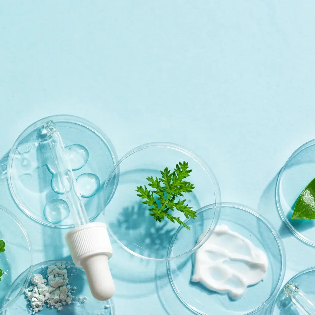 Vegan Cilt Bakımı Ne Demek? Vegan Cilt Ürünleri Nelerdir?